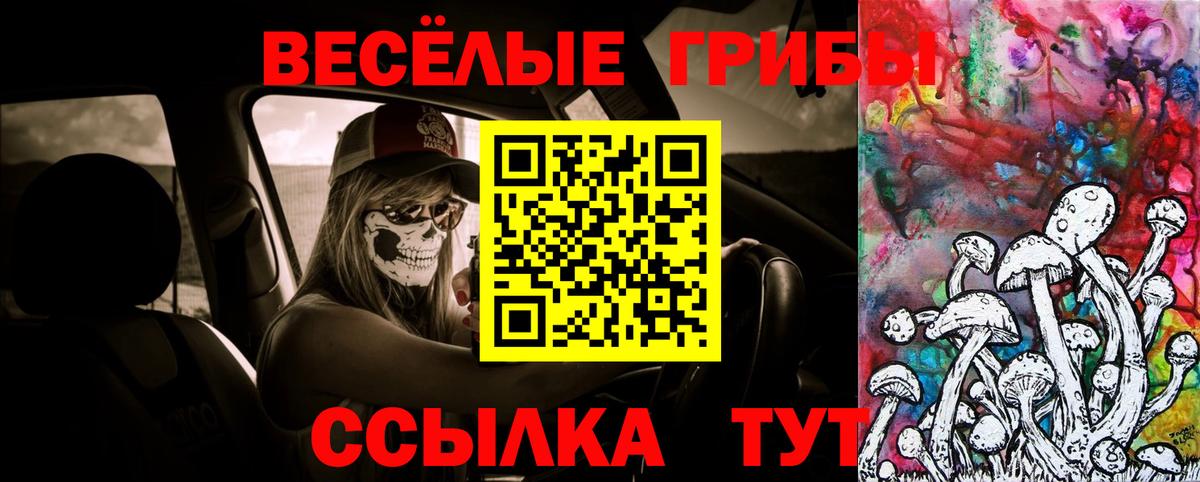 Рязань  Галлюциногенные грибы Psilocybe  Псилоцибиновые грибы Psilocybe  где купить наркоту  Вход с VPN 