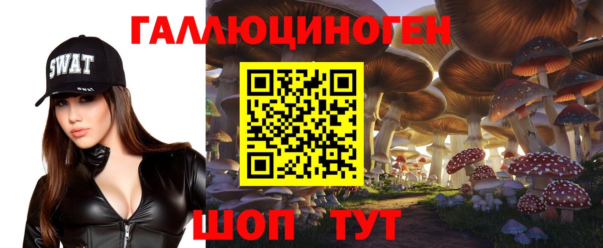 Галлюциногенные грибы Psilocybe Рязань